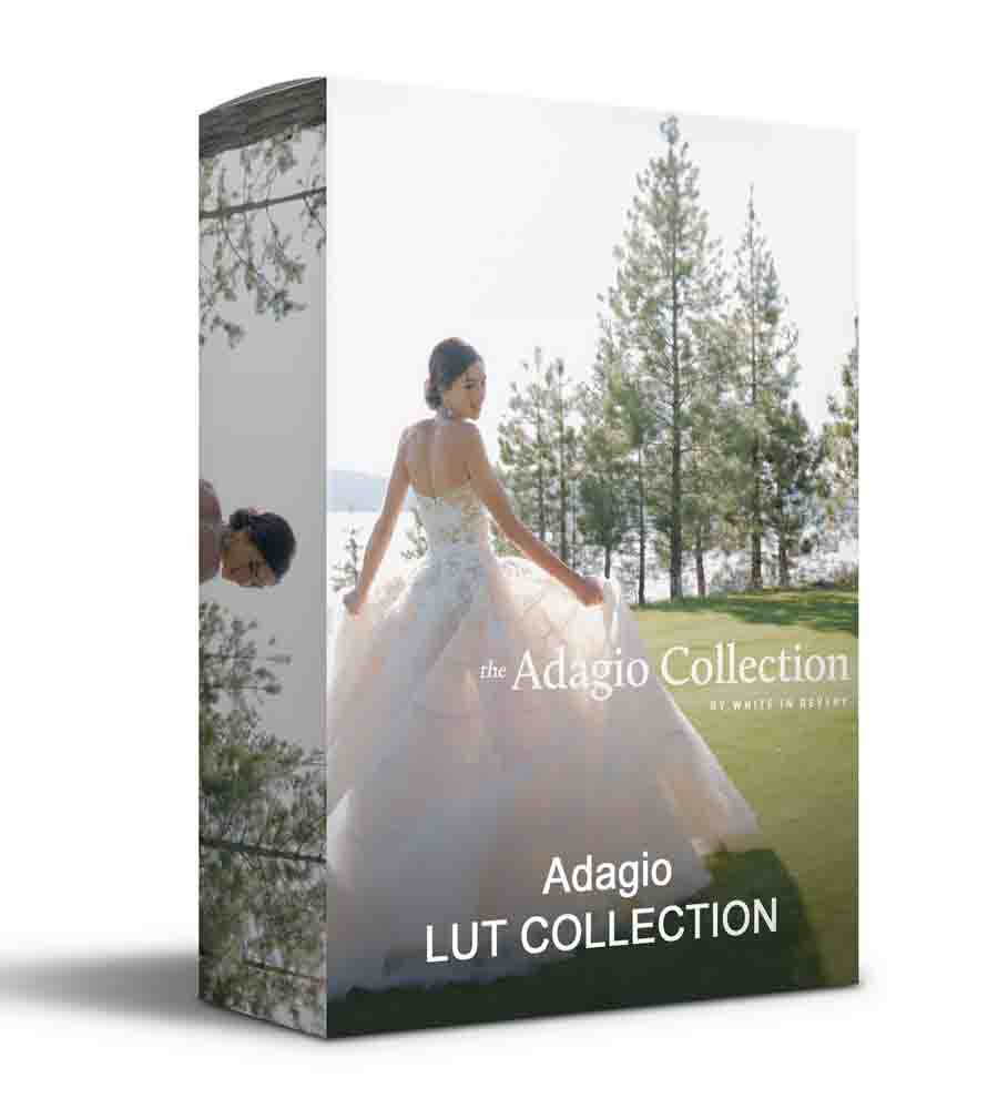 White In Revery – Adagio LUTs – Professional Wedding Color Grading LUTs Free Download (Win/Mac)